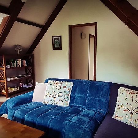 Dancing Waters Cottage Springbrook Bagian luar foto