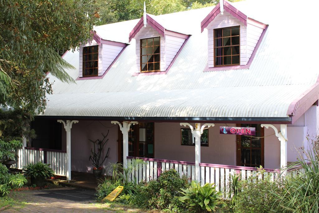 Dancing Waters Cottage Springbrook Bagian luar foto